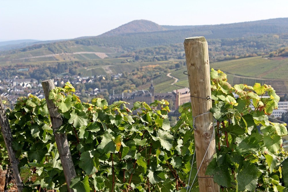 Rotweinwanderweg, Blick auf Ahrweiler