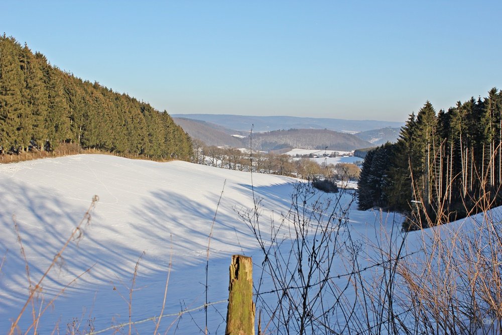 Wandern im Schnee, Sauerland, Wanderweg, A6, Altenhellefeld, Wacholderheide, Wandern, Schneewanderung