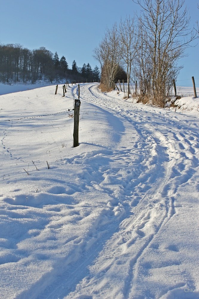 Wanderweg, A6, Altenhellefeld, Wacholderheide, Wandern, Schneewanderung