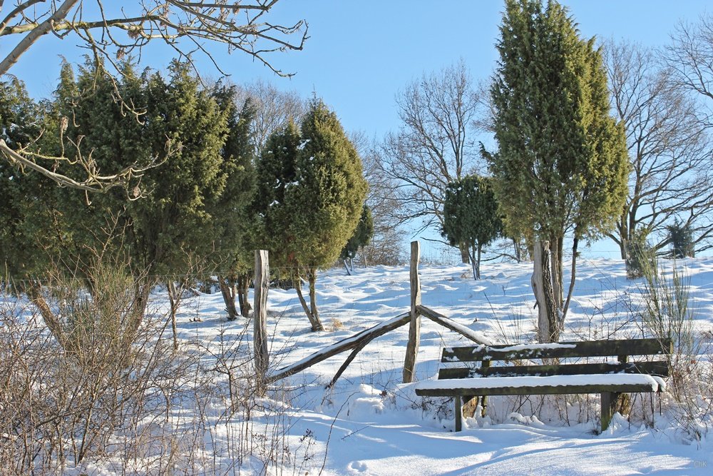 Wandern im Schnee, Sauerland, Wanderweg, A6, Altenhellefeld, Wacholderheide, Wandern, Schneewanderung