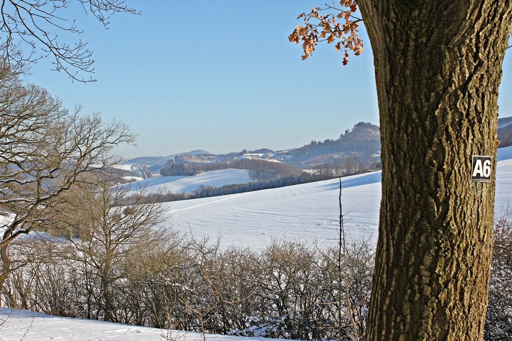 Wandern im Schnee, Sauerland, Wanderweg, A6, Altenhellefeld, Wacholderheide, Wandern, Schneewanderung