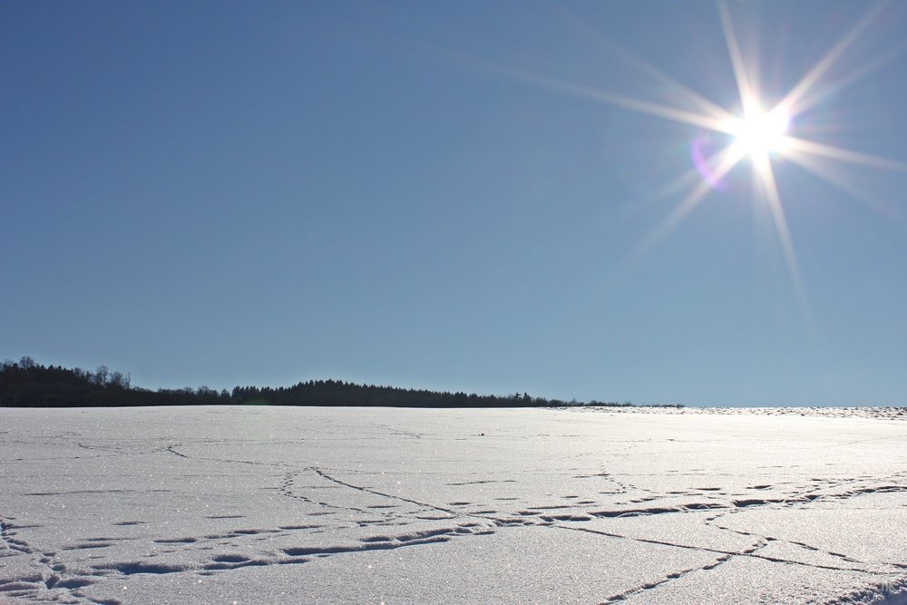 Wandern im Schnee, Sauerland, Wanderweg, A6, Altenhellefeld, Wacholderheide, Wandern, Schneewanderung