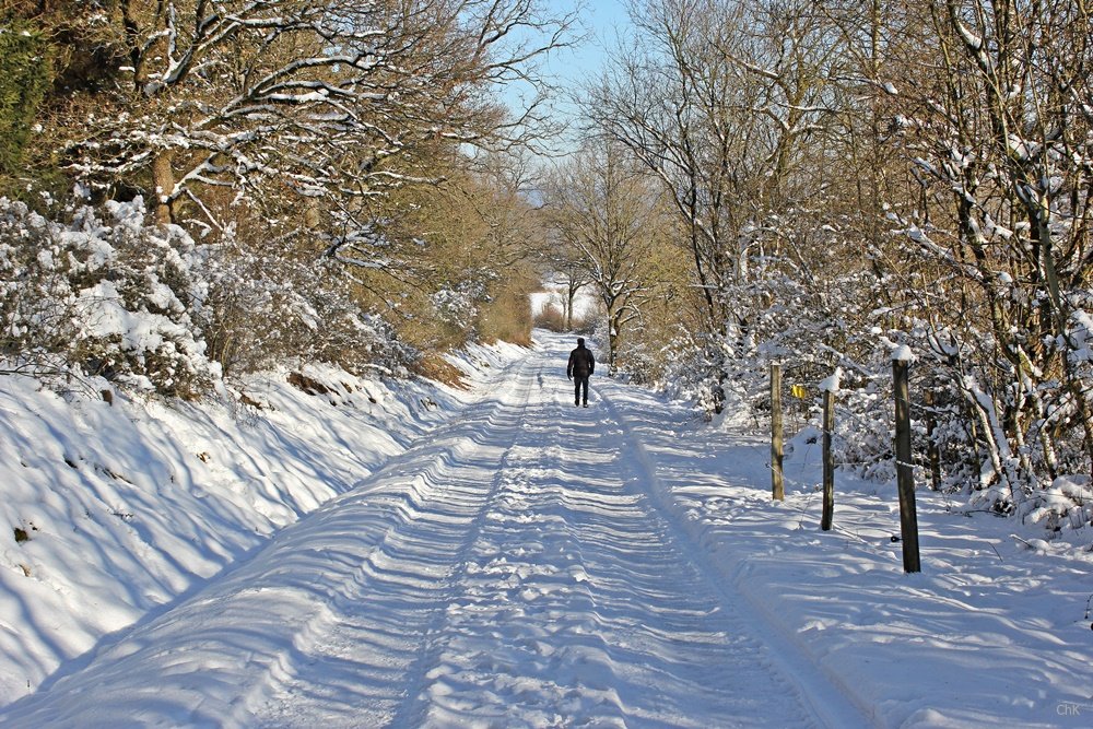 Wandern im Schnee, Sauerland, Wanderweg, A6, Altenhellefeld, Wacholderheide, Wandern, Schneewanderung