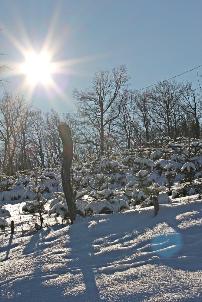 Wanderweg, A6, Altenhellefeld, Wacholderheide, Wandern, Schneewanderung