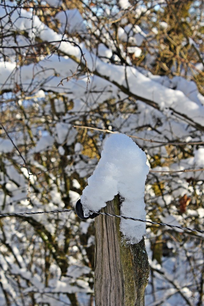 Wanderweg, A6, Altenhellefeld, Wacholderheide, Wandern, Schneewanderung