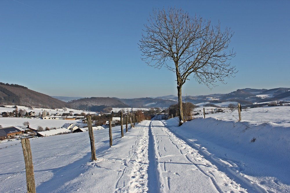 Wandern im Schnee, Sauerland, Wanderweg, A6, Altenhellefeld, Wacholderheide, Wandern, Schneewanderung
