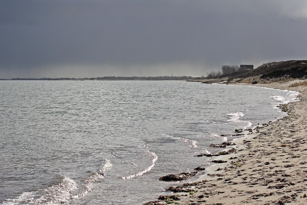 Braderuper Heide, Sylt, Spaziergang, Winter, Heide, Schleswig Holstein, Geheimtipp, Wattenmeer