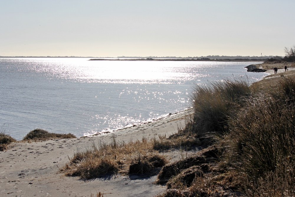  Sylt, Spaziergang, Winter, Heide, Schleswig Holstein, Geheimtipp, Wattenmeer