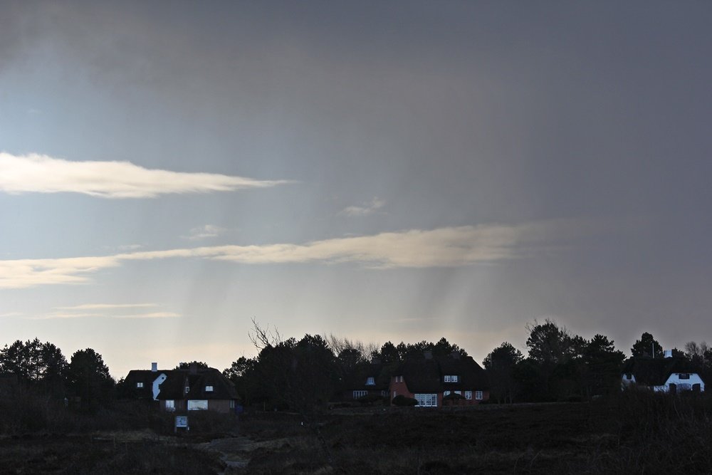 Braderuper Heide, Sylt, Spaziergang, Winter, Heide, Schleswig Holstein, Geheimtipp, Wattenmeer