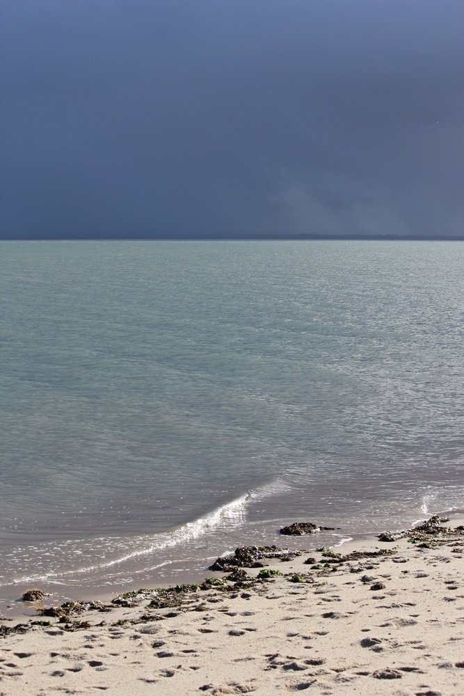 Sylt, Spaziergang, Winter, Heide, Schleswig Holstein, Geheimtipp, Wattenmeer