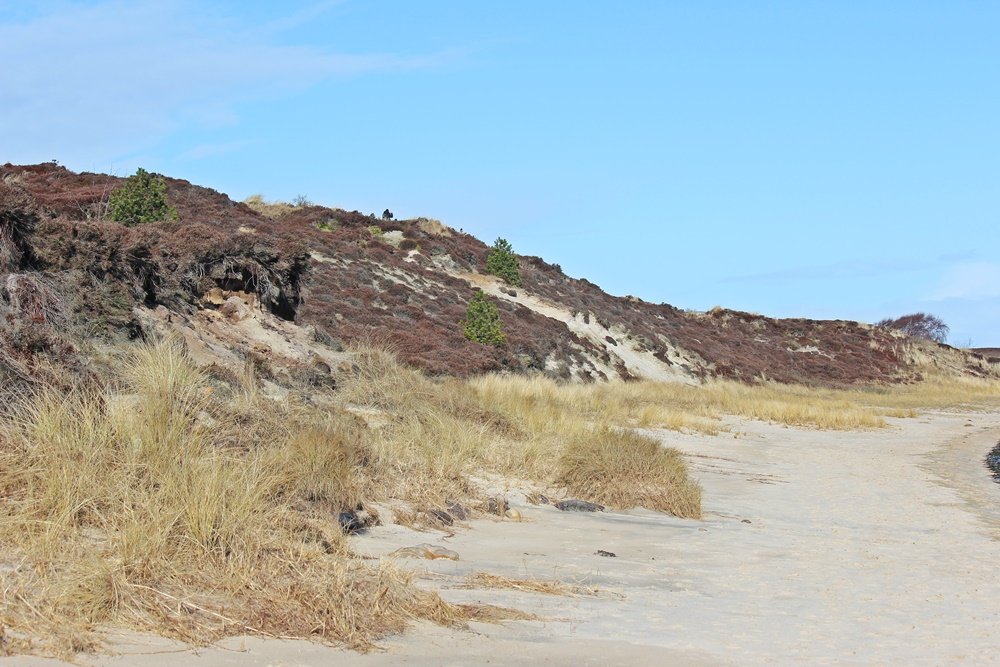 Braderuper Heide, Sylt, Spaziergang, Winter, Heide, Schleswig Holstein, Geheimtipp, Wattenmeer