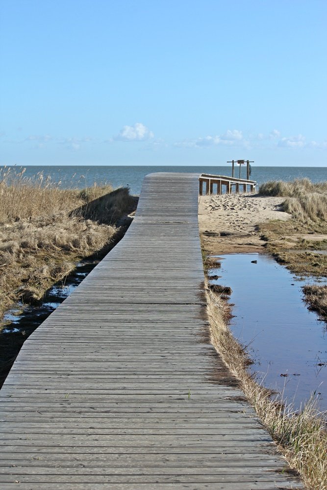 Braderuper Heide, Sylt, Spaziergang, Winter, Heide, Schleswig Holstein, Geheimtipp, Wattenmeer