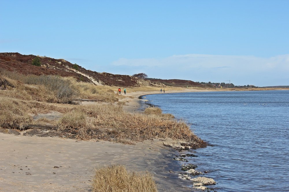 Braderuper Heide, Sylt, Spaziergang, Winter, Heide, Schleswig Holstein, Geheimtipp, Wattenmeer