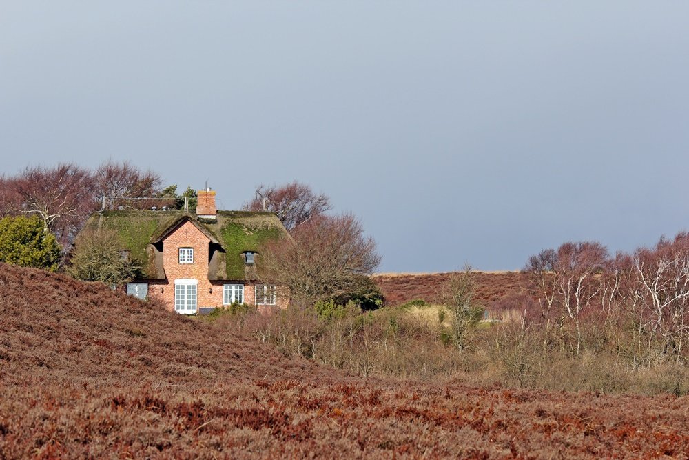 Braderuper Heide, Sylt, Spaziergang, Winter, Heide, Schleswig Holstein, Geheimtipp, Wattenmeer