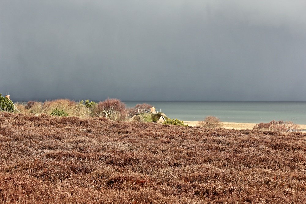 Braderuper Heide, Sylt, Spaziergang, Winter, Heide, Schleswig Holstein, Geheimtipp, Wattenmeer