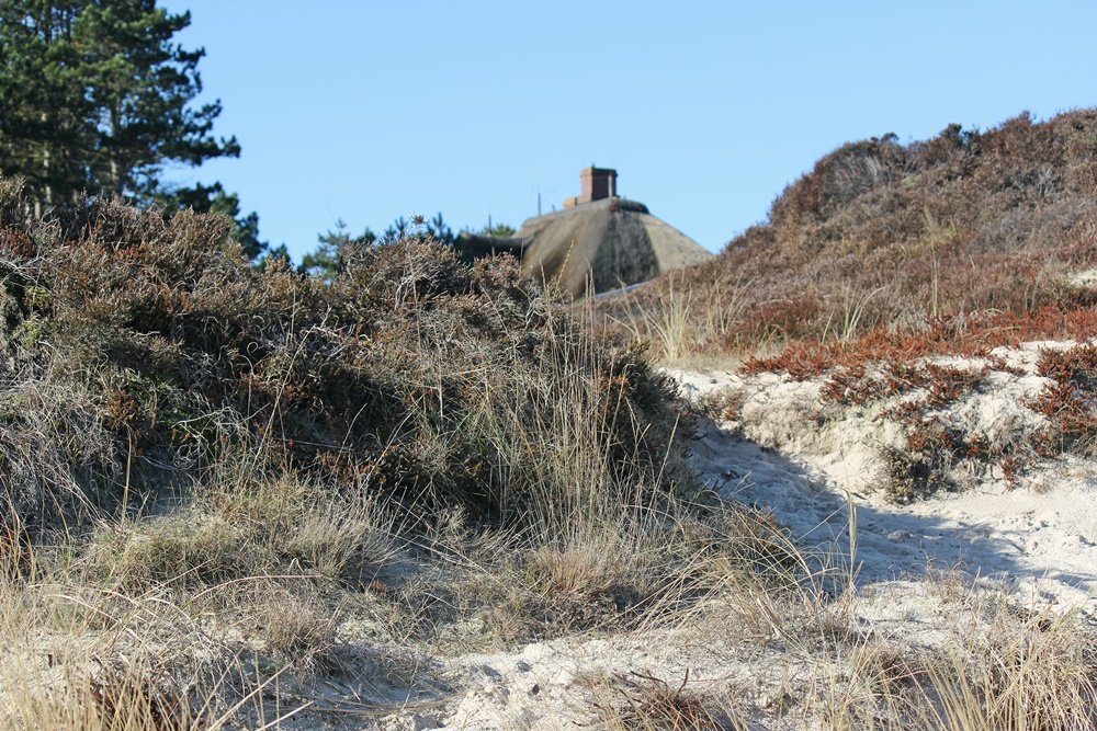 Braderuper Heide, Sylt, Spaziergang, Winter, Heide, Schleswig Holstein, Geheimtipp, Wattenmeer