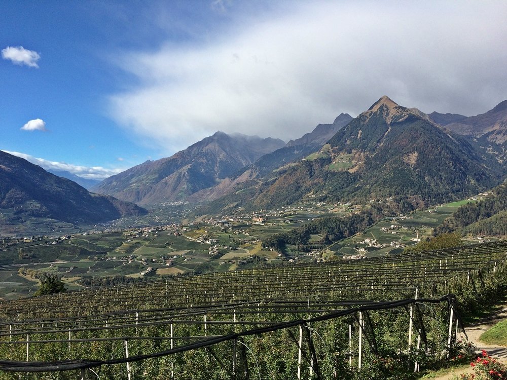 Törggelen, Wandern, Schenner Waalweg, Südtirol