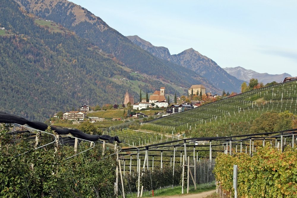 Törggelen, Schenna, Südtirol, Wiesenweg