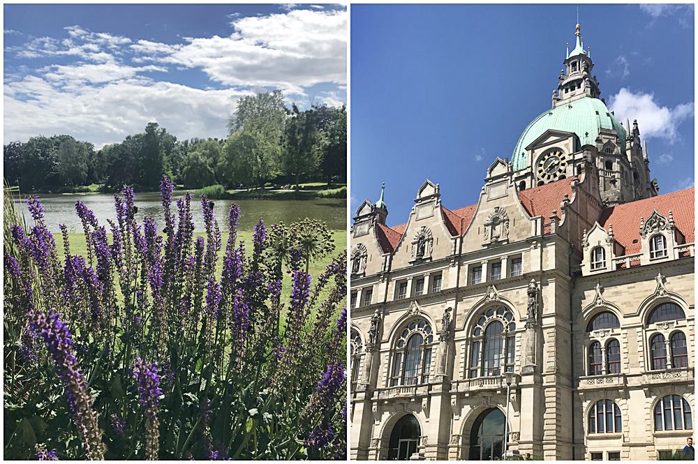 Maschteich mit üppiger Lavendelbepflanzung in Hannover, das Neue Rathaus in Hannover