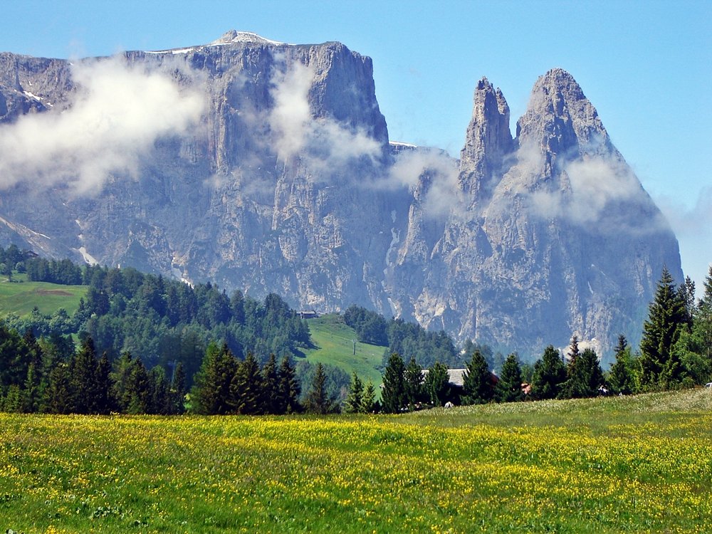 Was sollte man in Südtirol gemacht haben? Die Seiser Alm sollte man in Südtirol besucht haben