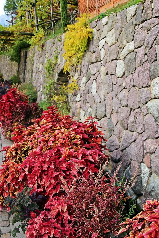 Herbstbepflanzung Schloss Trauttmansdorff, Muss für jeden Gartenliebhaber
