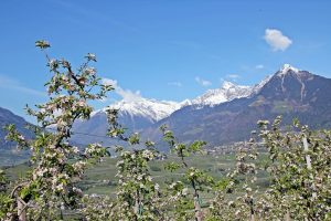 Was sollte man in Südtirol unbedingt gemacht haben - 9 tolle Reisetipps