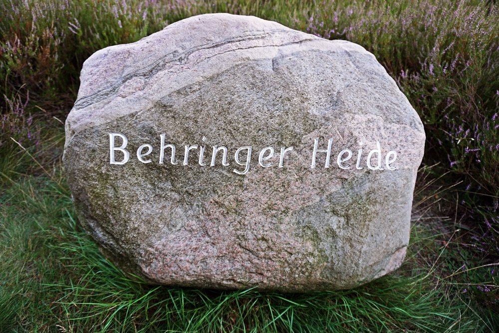 behringer heide wegstein geheimtipp