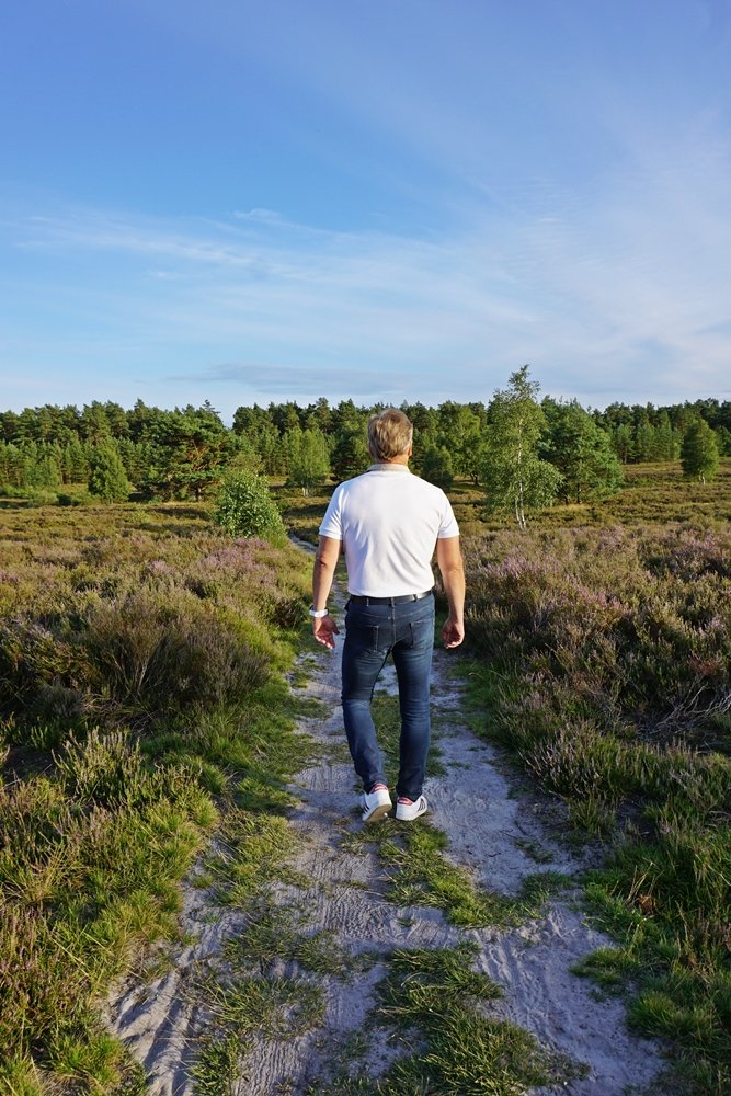 sandiger Spazierweg in behringer heide